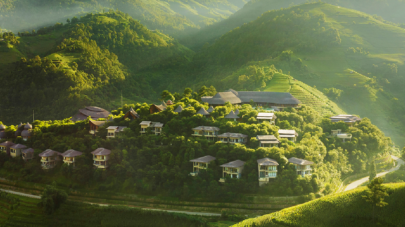 Garrya Mù Cang Chải