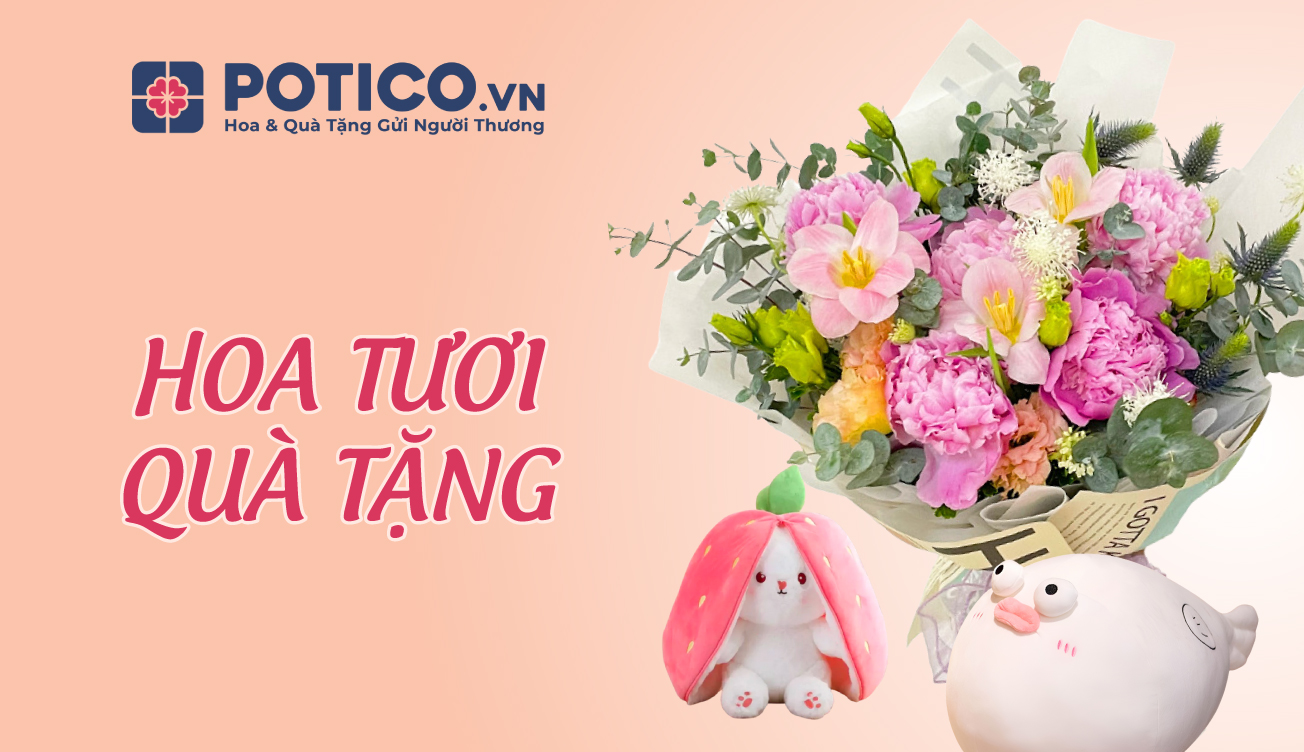 Potico.vn