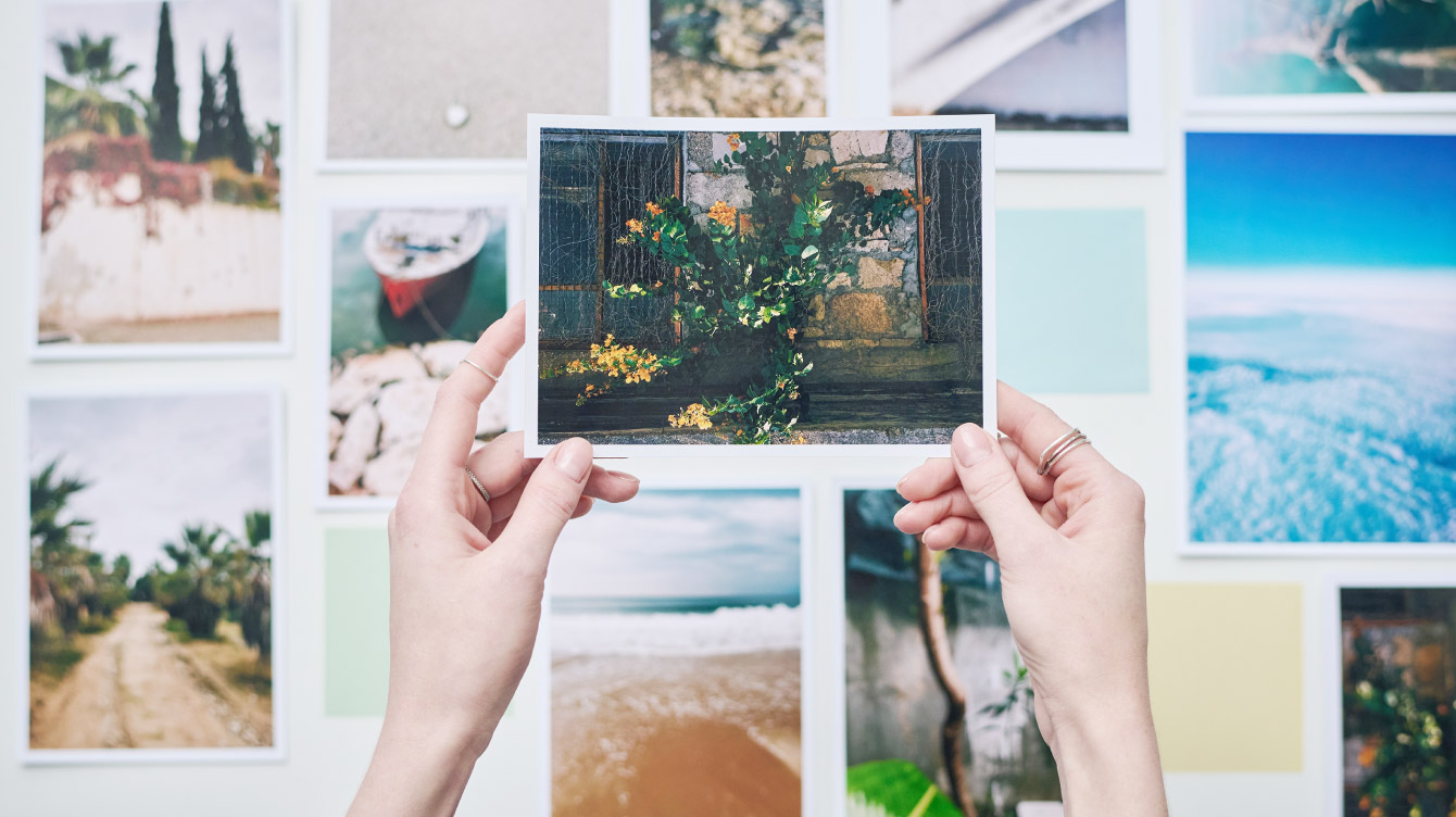 Dịch vụ cung cấp hình ảnh - iStock by Getty Images