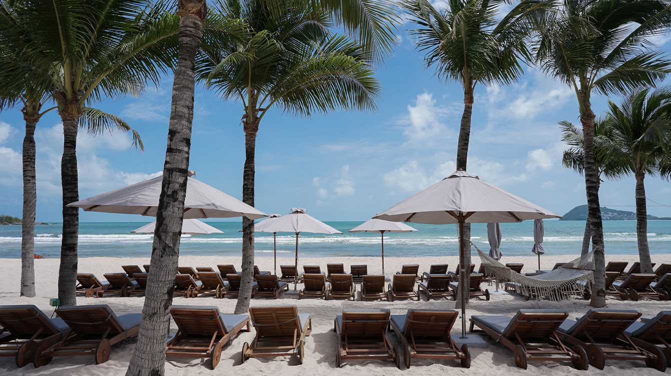 Công tác lưu trú - New World Phú Quốc Resort