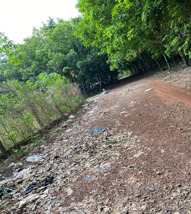 Đất  xã Tân Hưng, Bàu Bàng  - 6