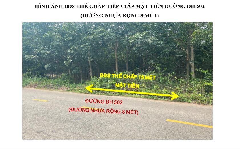 Nhà đất An Bình  - 2