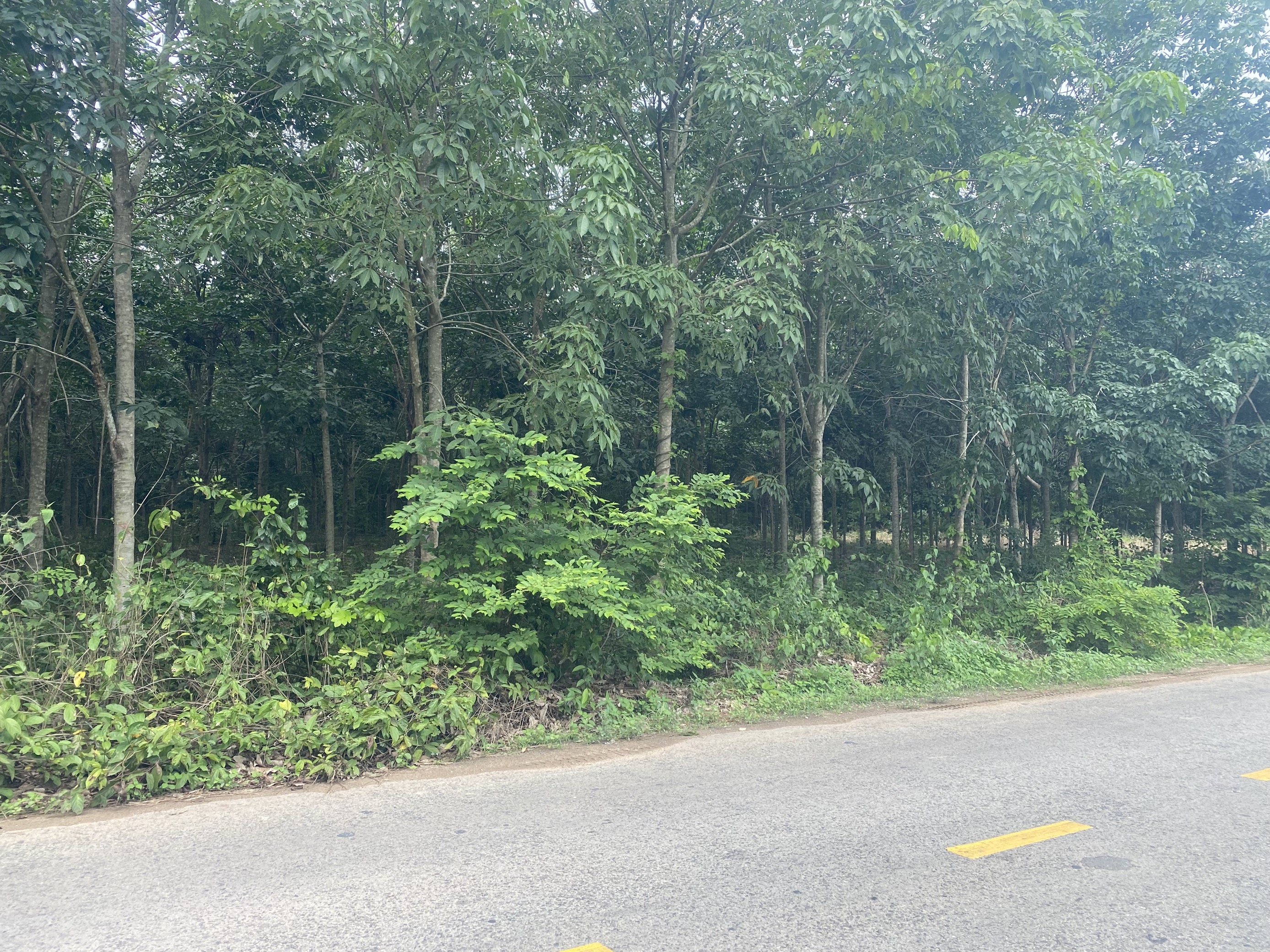 Nhà đất An Bình - 4