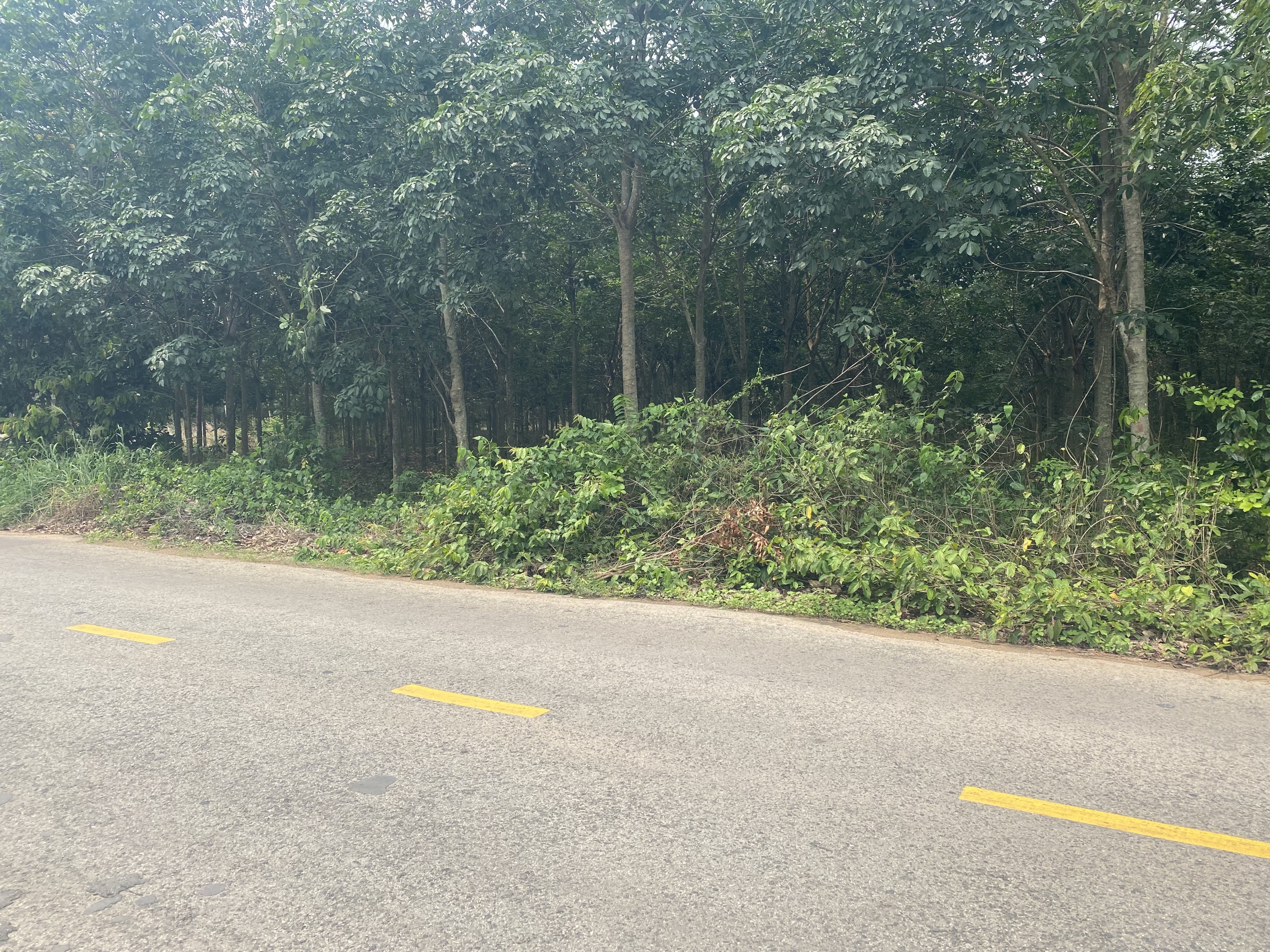 Nhà đất An Bình - 5