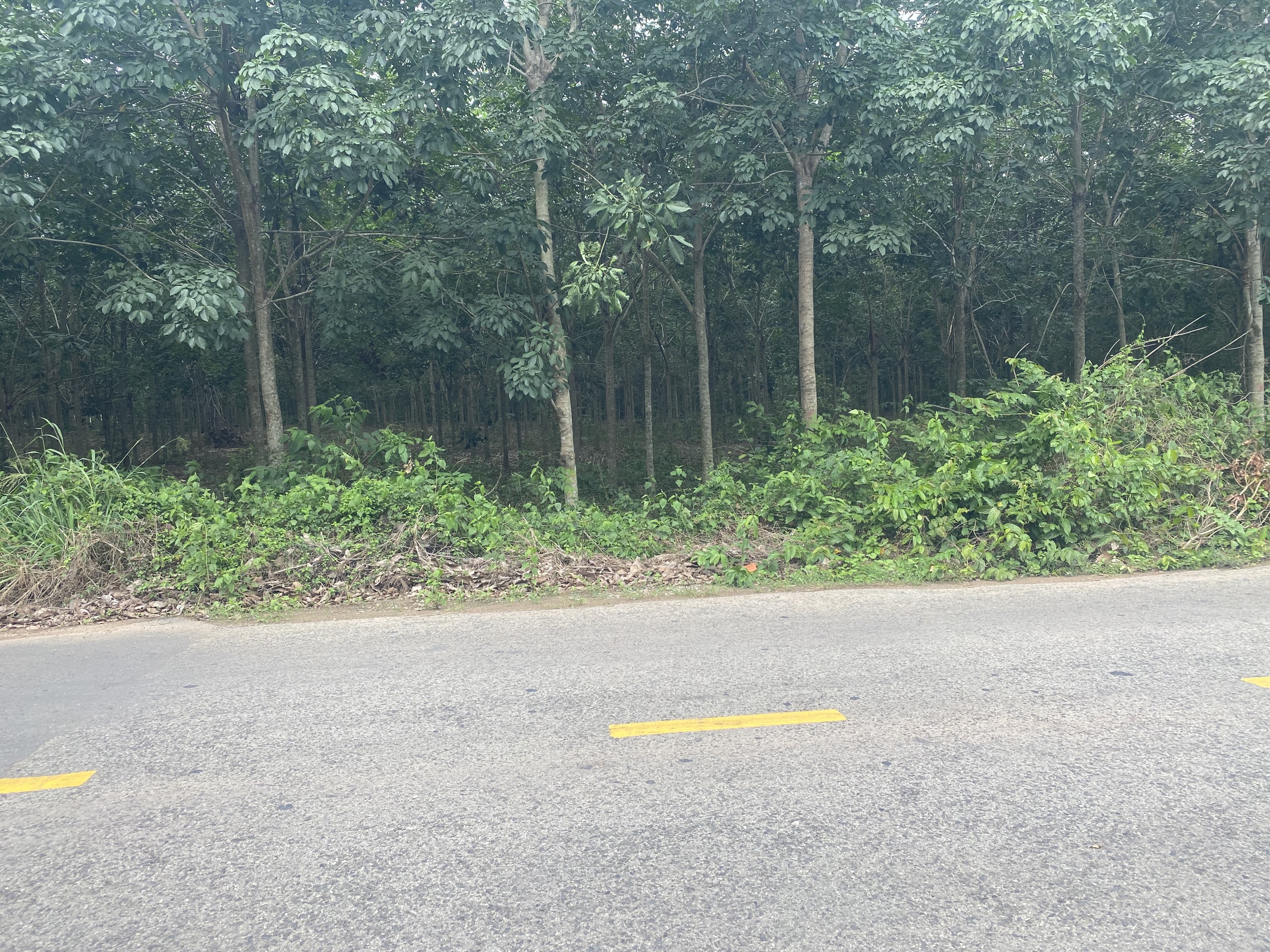 Nhà đất An Bình - 1