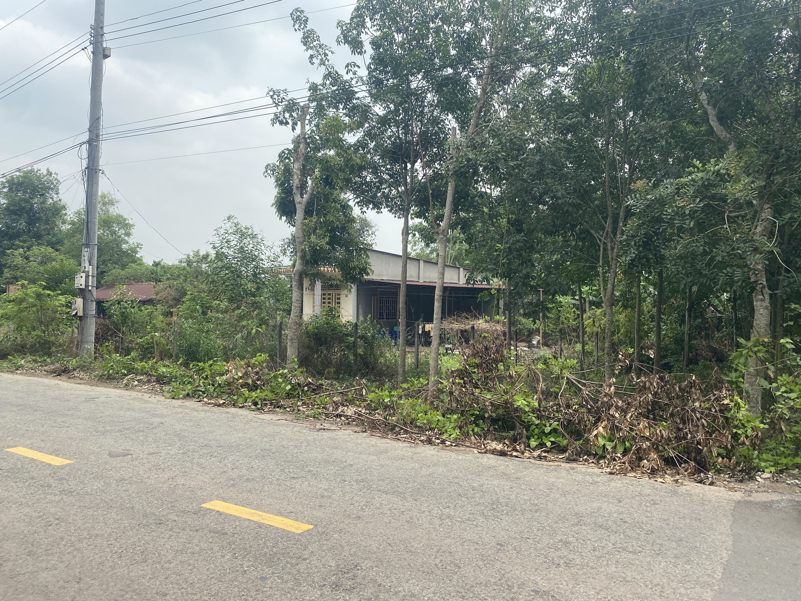 Nhà đất An Bình  6