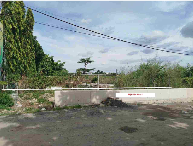 THANH LOC -  2