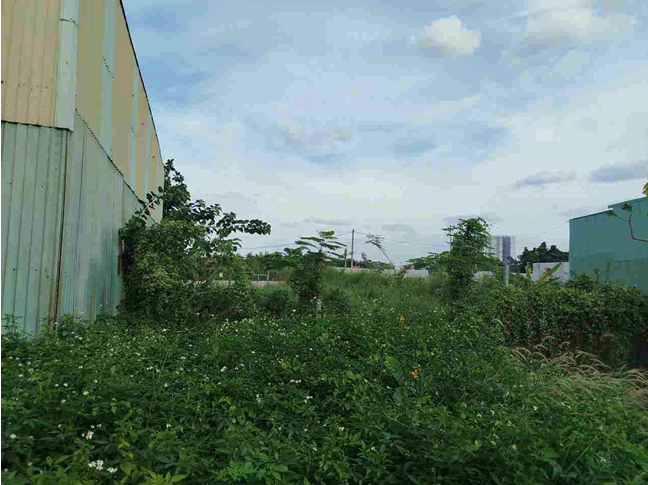 THANH LOC - 6