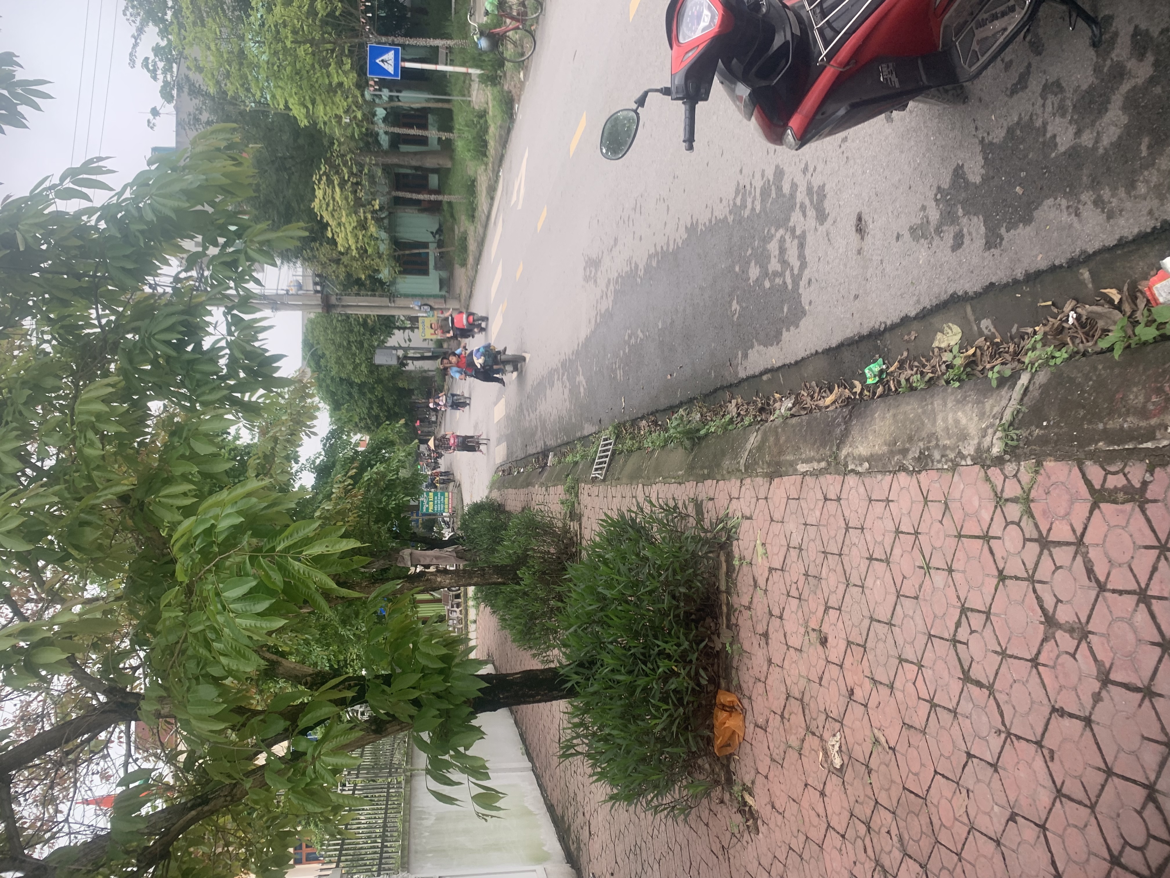 Phố Hoàng Xá, Hải Dương - 6