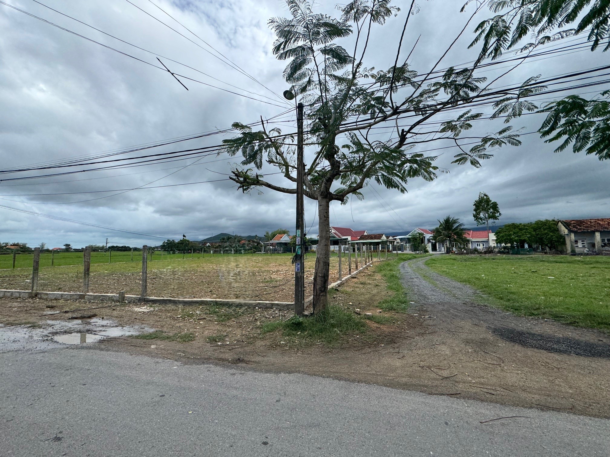 05 THUA KHANH HOA -  5