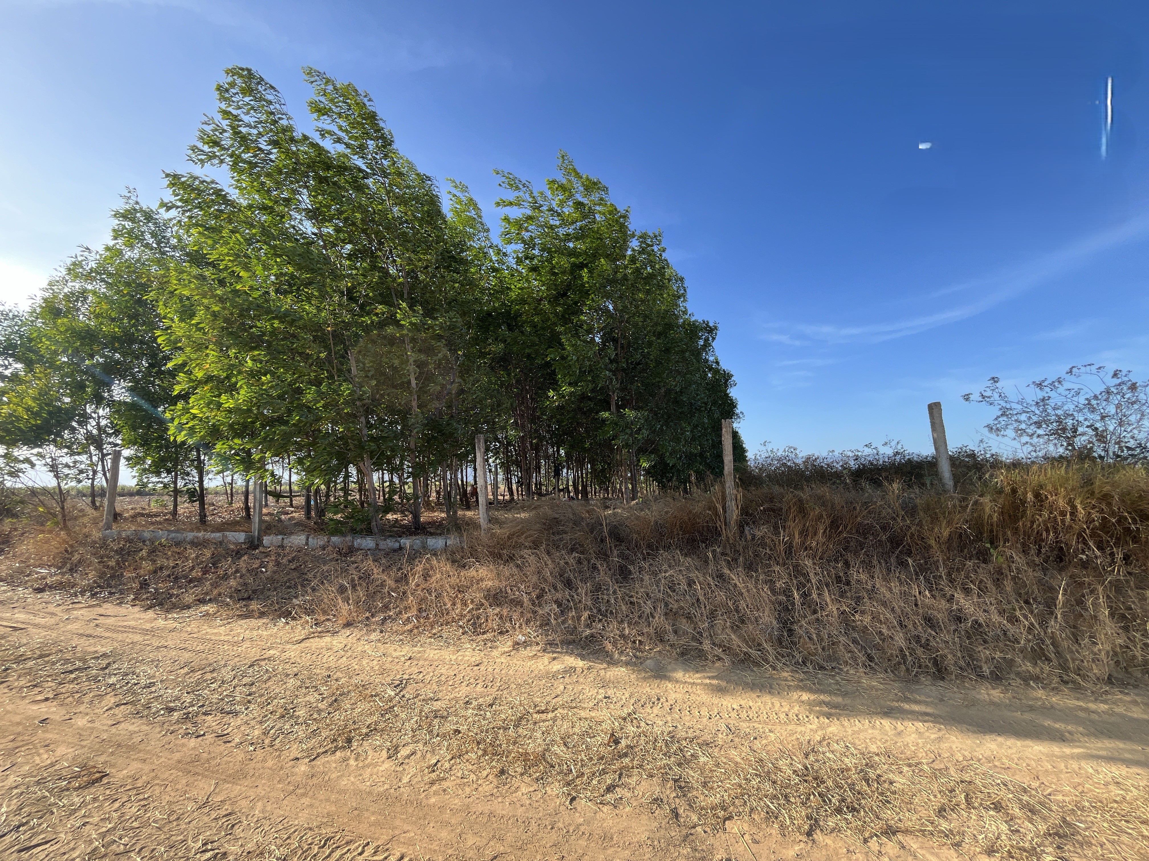 THUA 133 134 NINH SON -  2