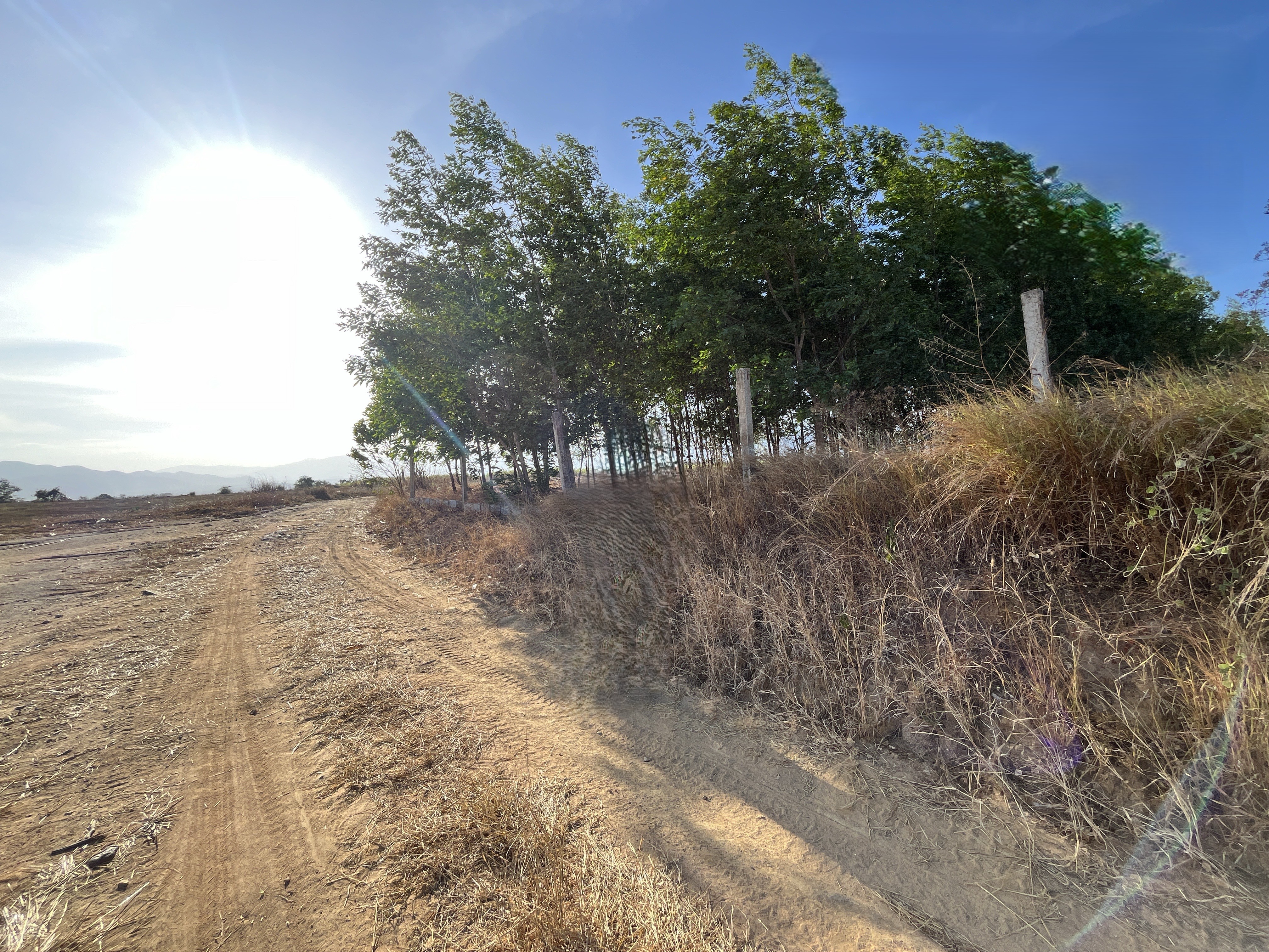 THUA 133 134 NINH SON -  4