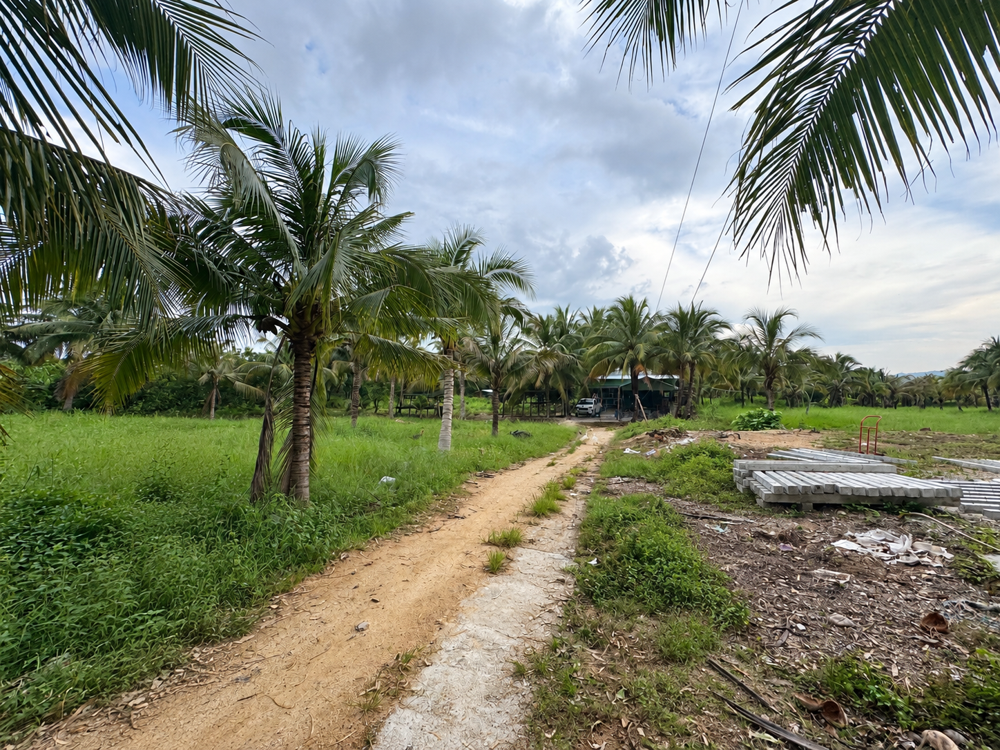 LAM SON -  5