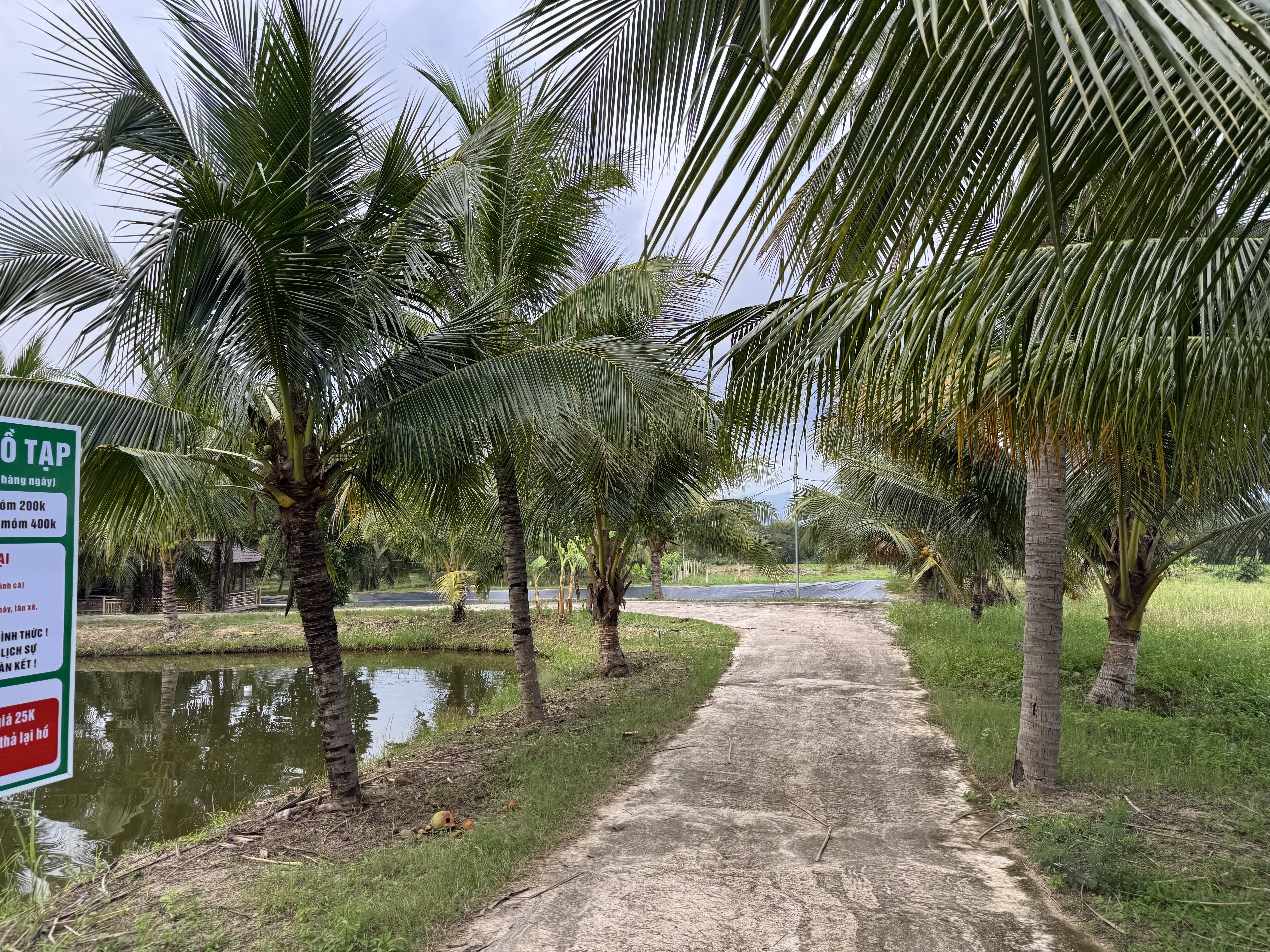 Bán bất động sản tại Khu phố 1 , TT. Tân Sơn, huyện Ninh Sơn, tỉnh Ninh Thuận (nay là xã Ninh Sơn, tỉnh Khánh Hòa)