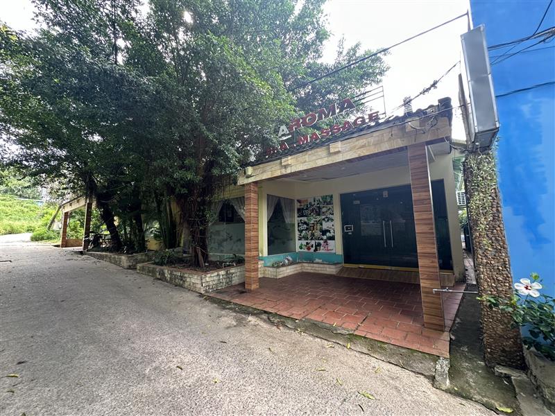 Nhà đất đường Trần Hưng Đạo - 1
