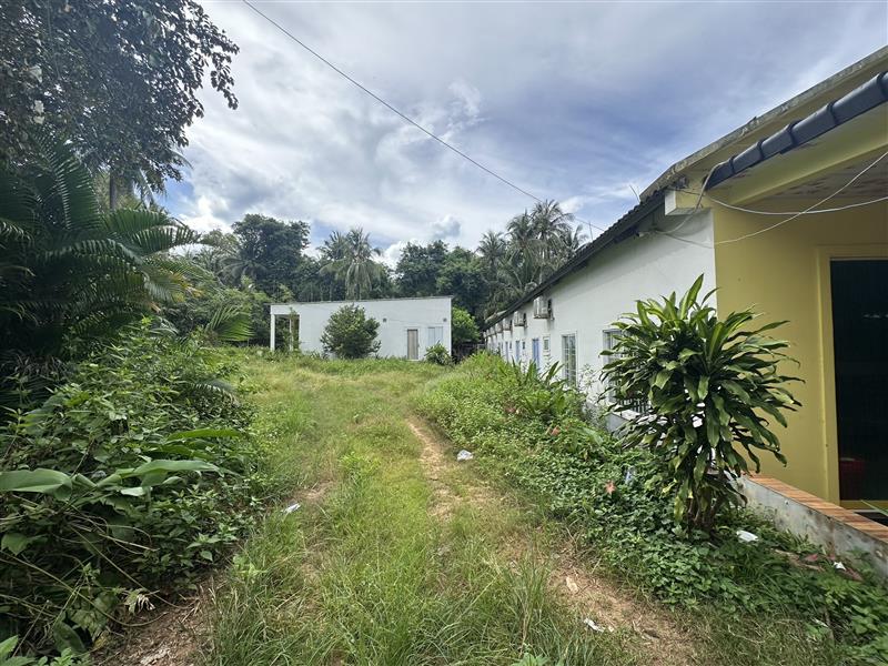 Nhà đất đường Trần Hưng Đạo- 4