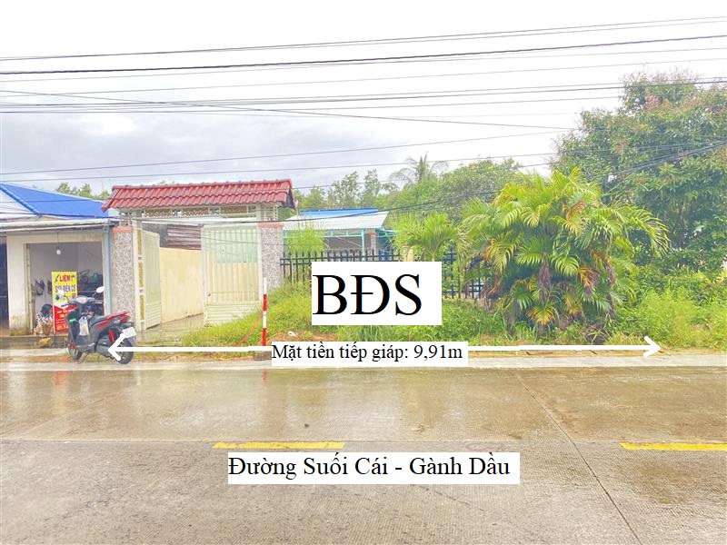 Bán nhà đất tại ấp Xóm Mới, xã Bãi Thơm, Tp. Phú Quốc, tỉnh Kiên Giang