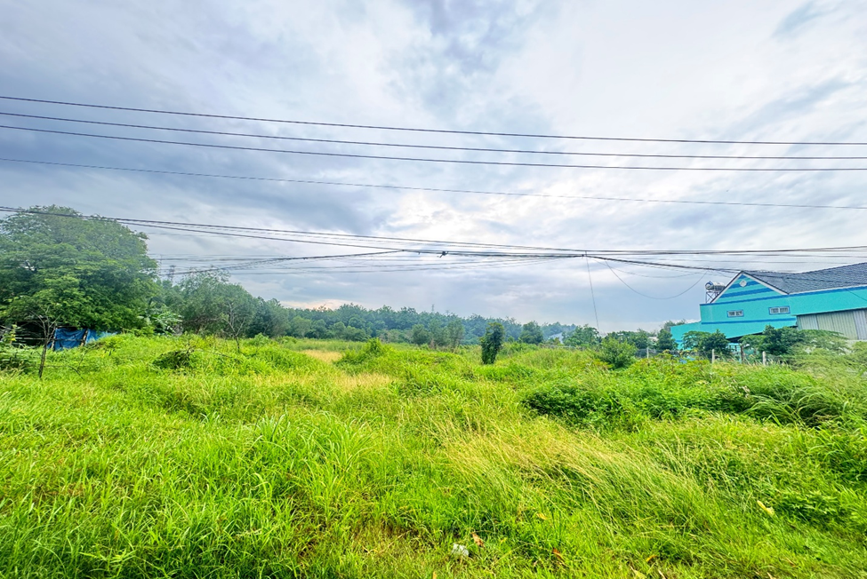 BINH DUONG  -  2