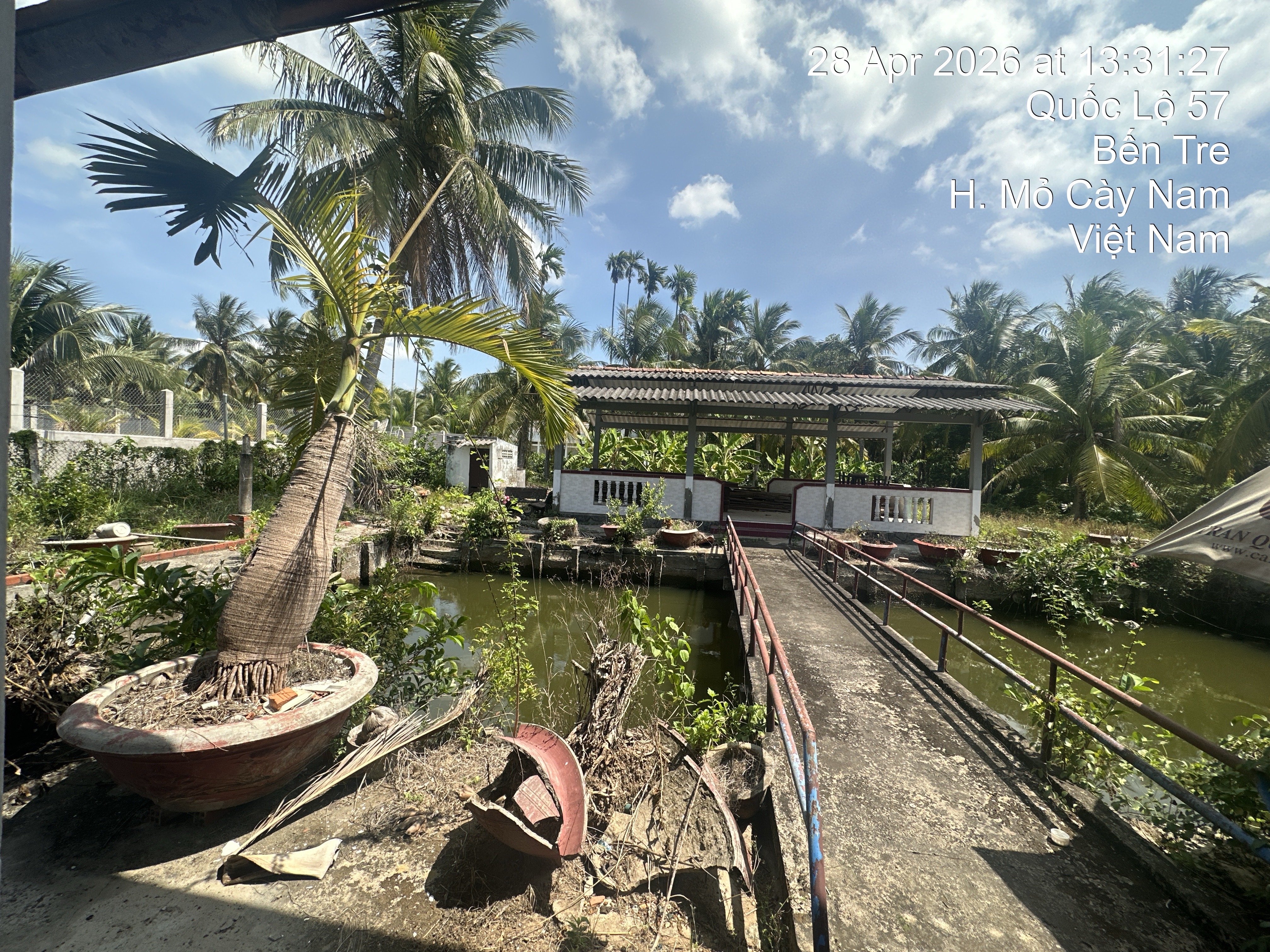 THUA 381 382 -  6