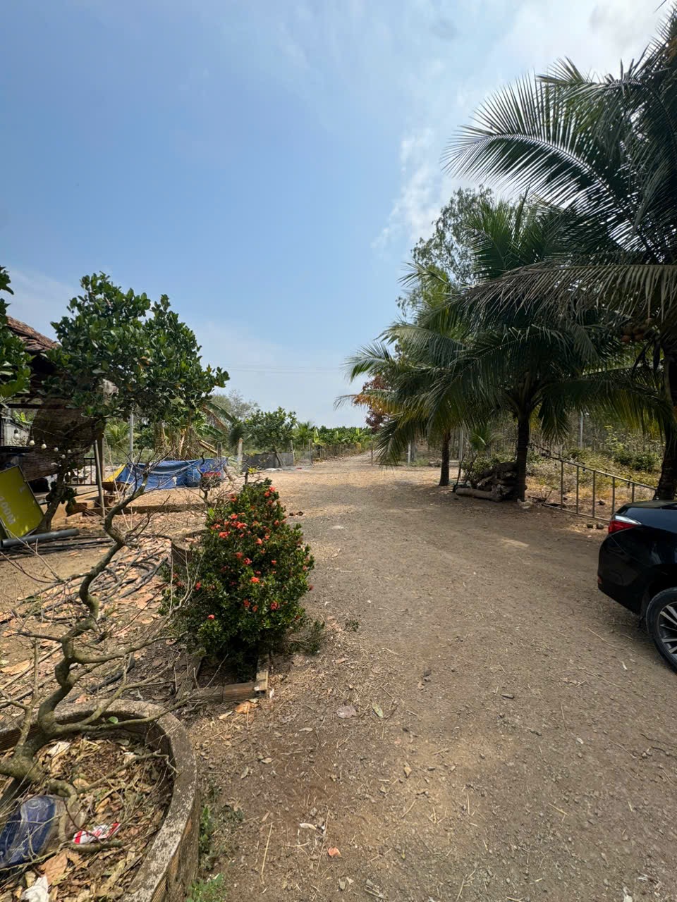 BINH THUAN  -  4