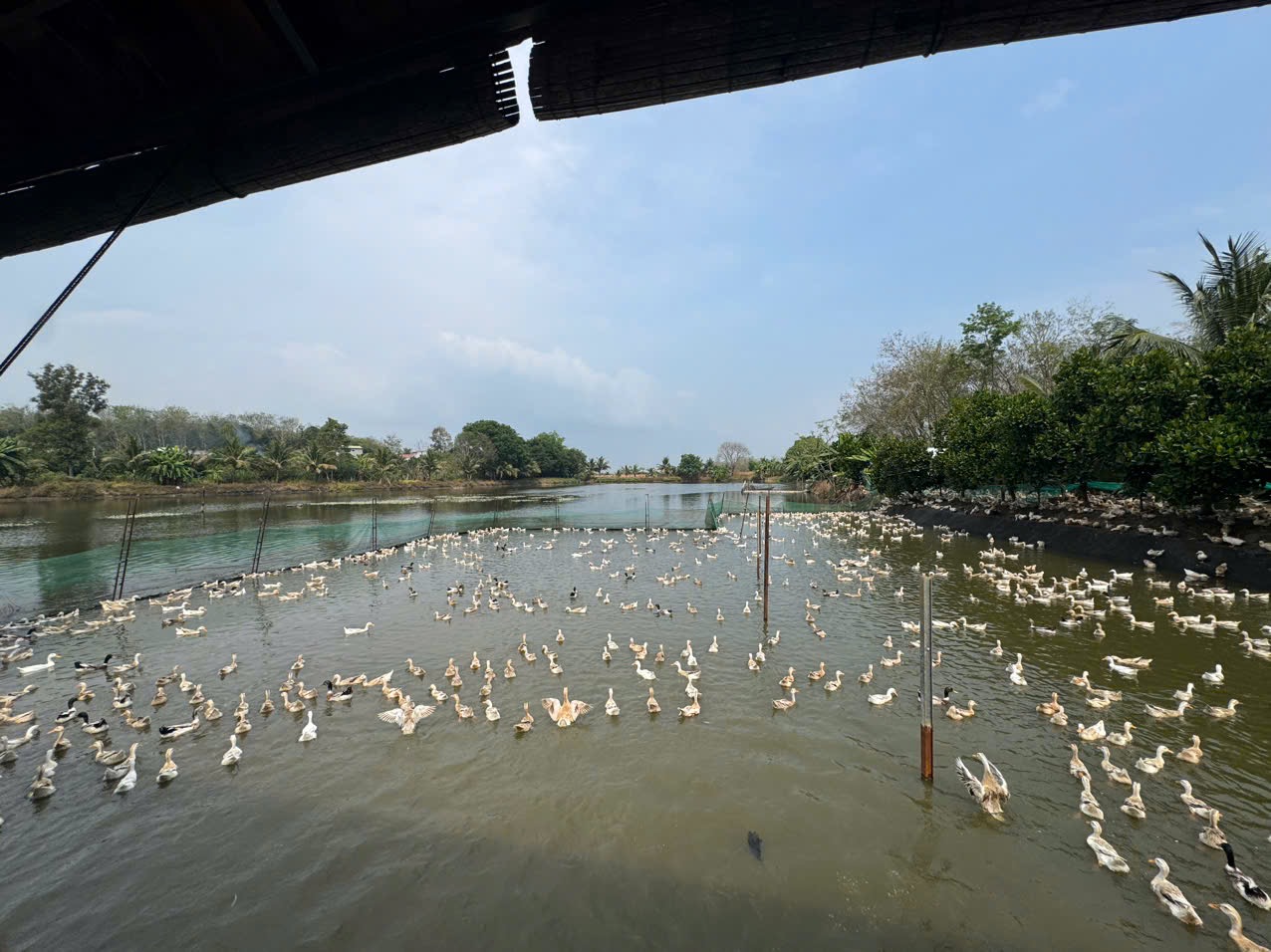 BINH THUAN  -  5
