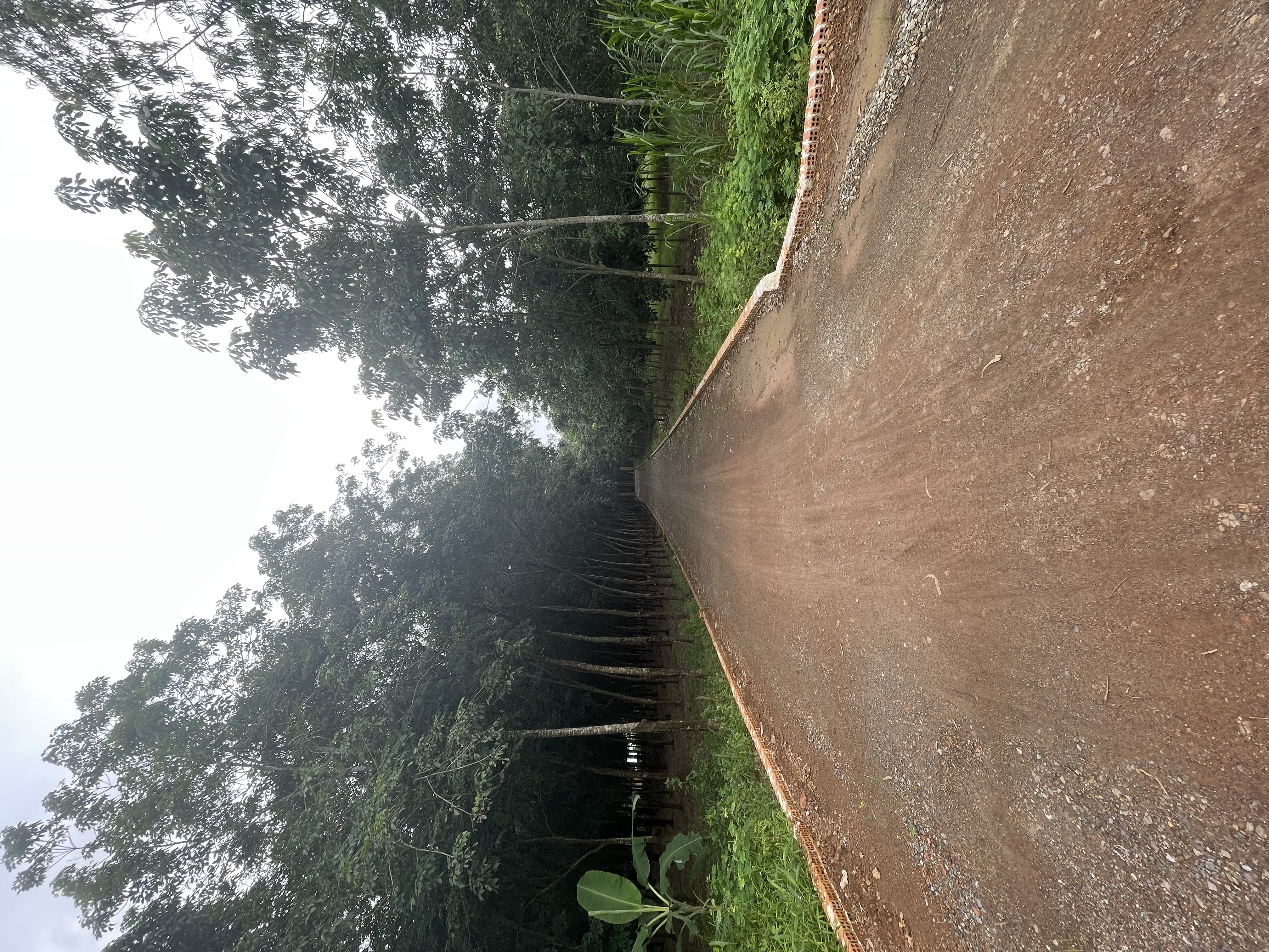BINH THUAN  - 6
