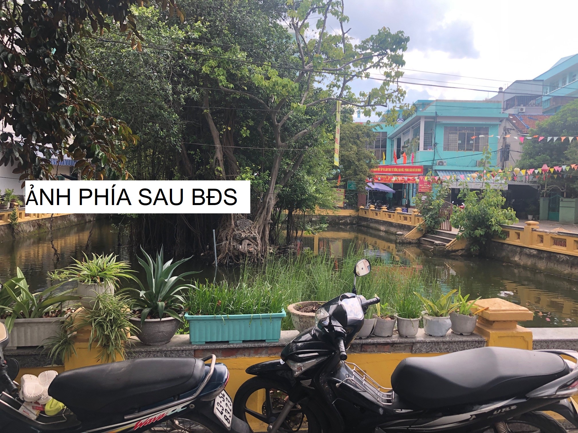 Nhà đất Phan Châu Trinh - 4
