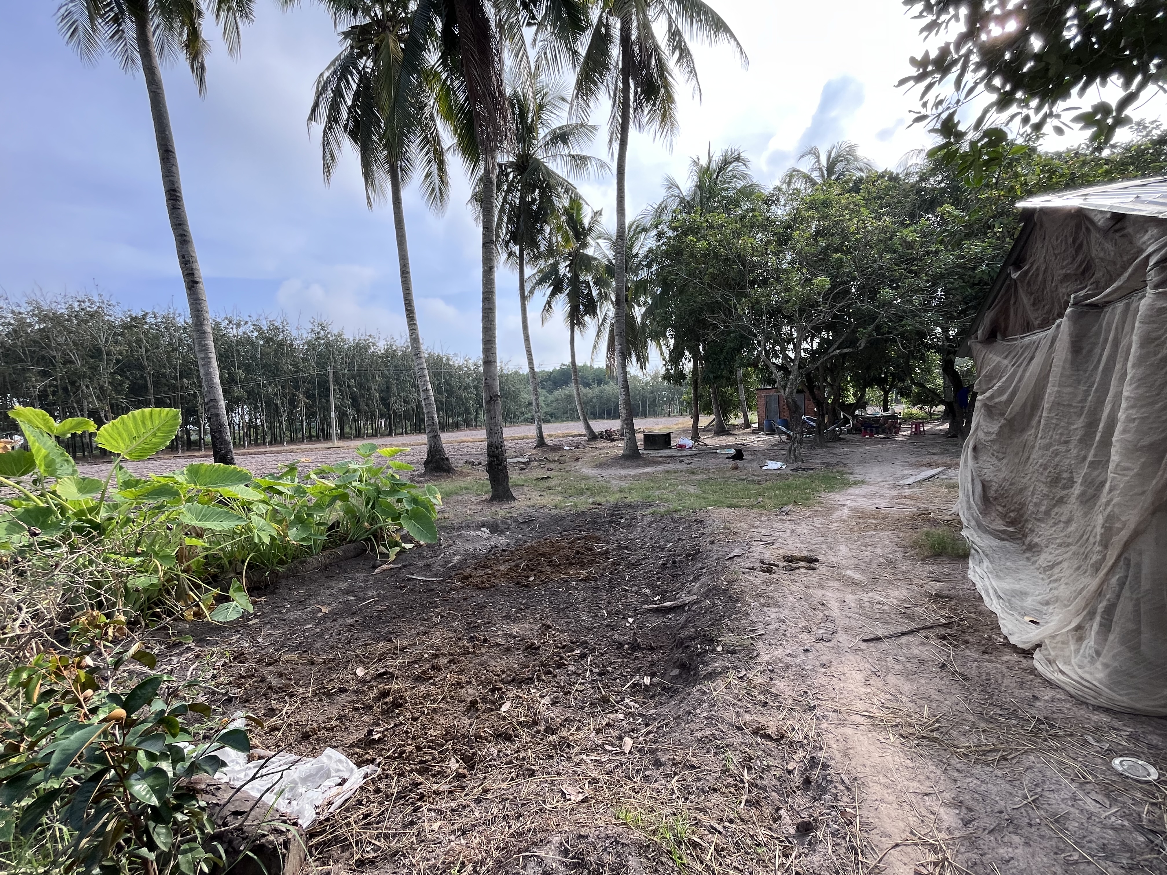 DONG KHOI - CHAU THANH - TAY NINH - 3