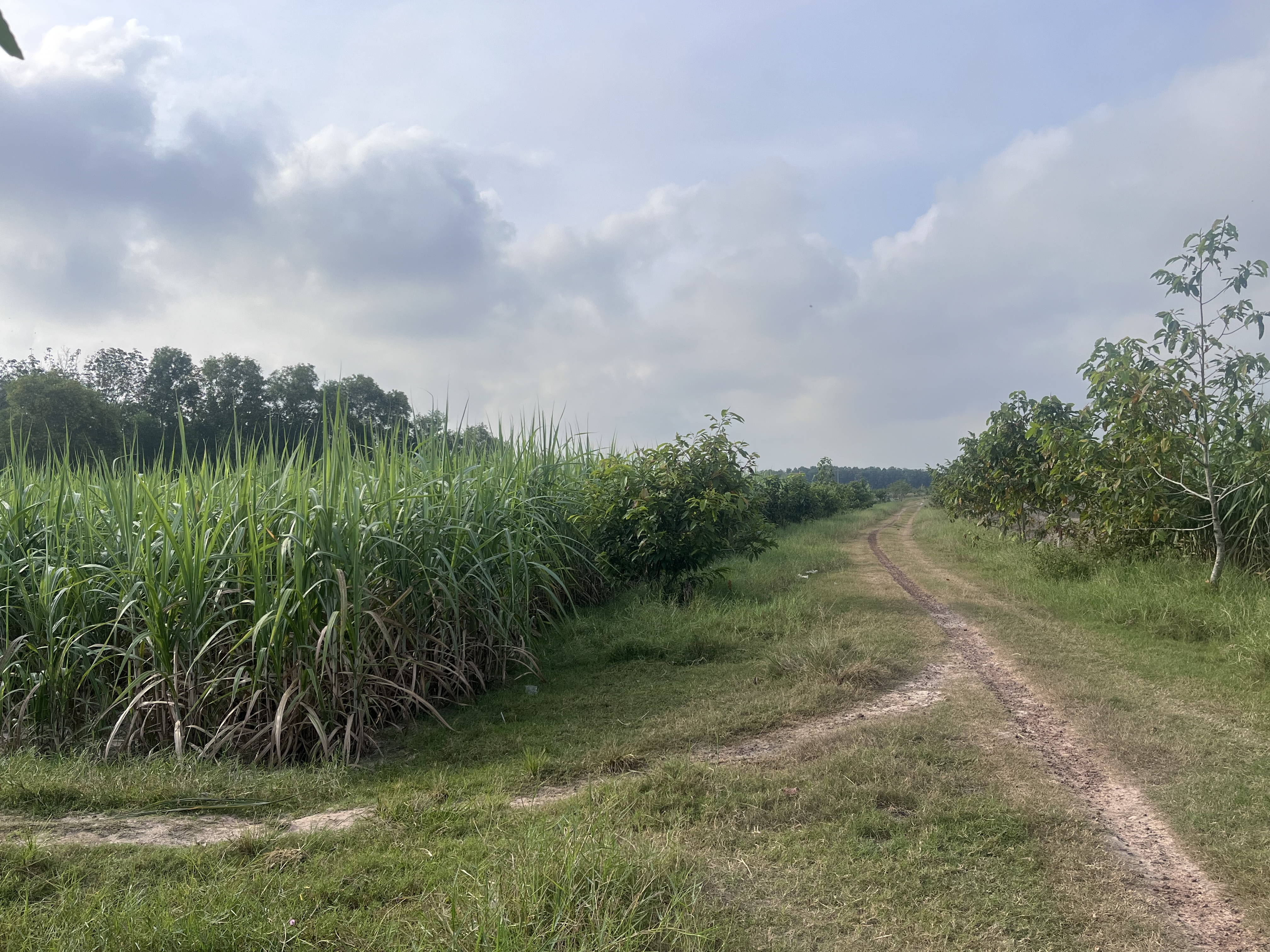 DONG KHOI - CHAU THANH - TAY NINH - 5