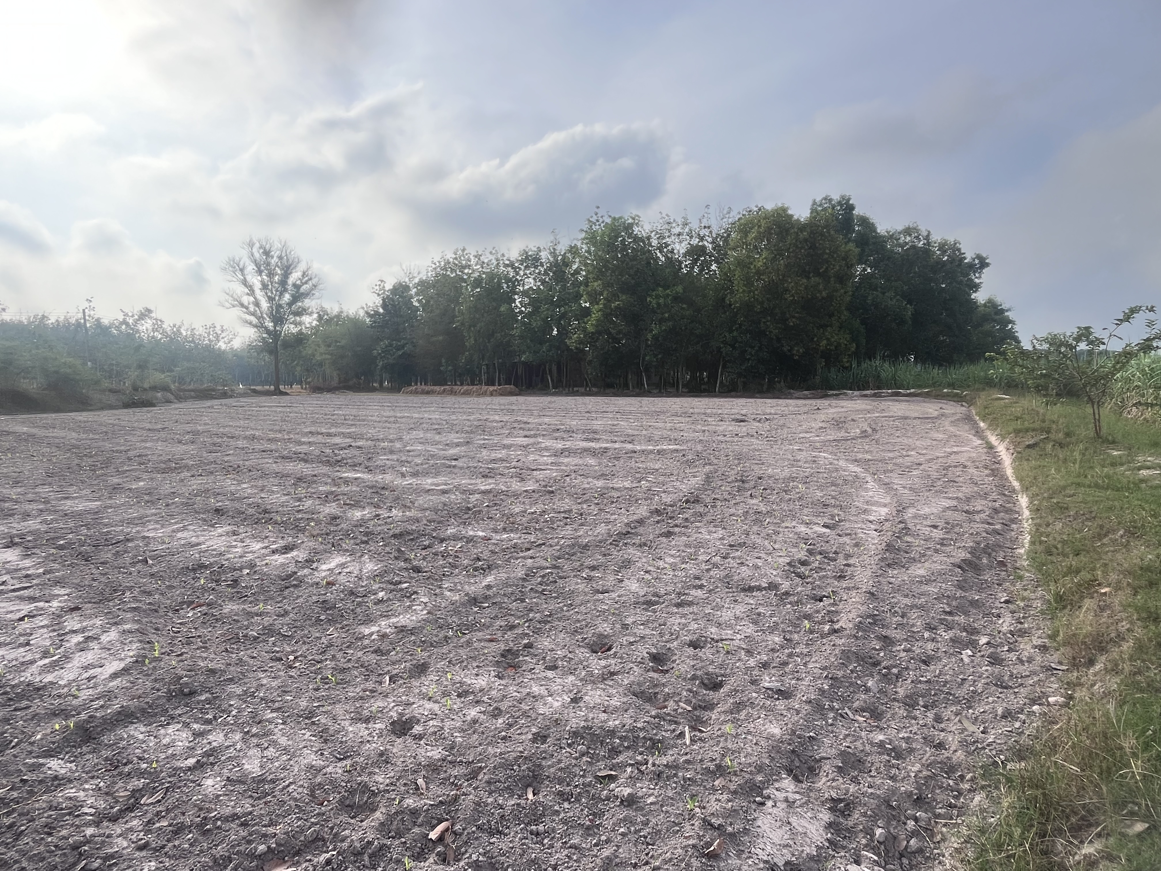 DONG KHOI - CHAU THANH - TAY NINH - 7