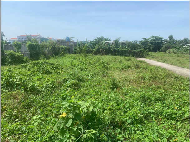 Bán đất tại thửa 269, tờ bản đồ số 19, xã Bình Mỹ, huyện Củ Chi, Tp.HCM