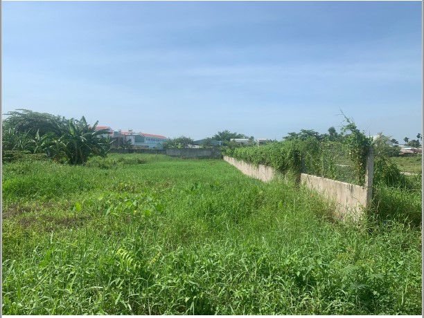 Đất 1000m2 Bình Mỹ, Củ Chi - 5
