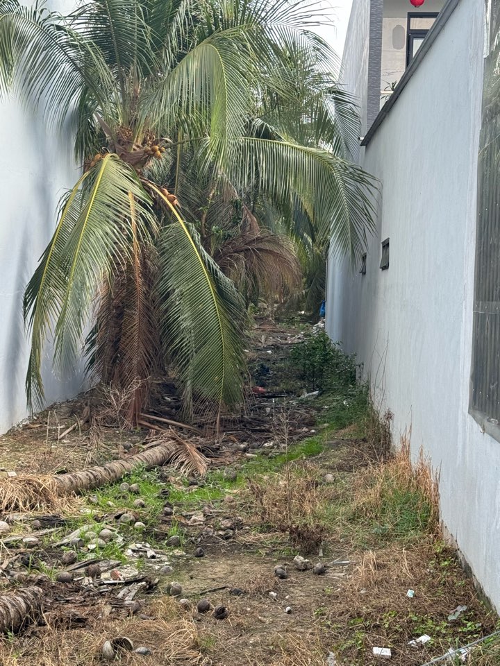 KP 8 - DAO THANH - 4