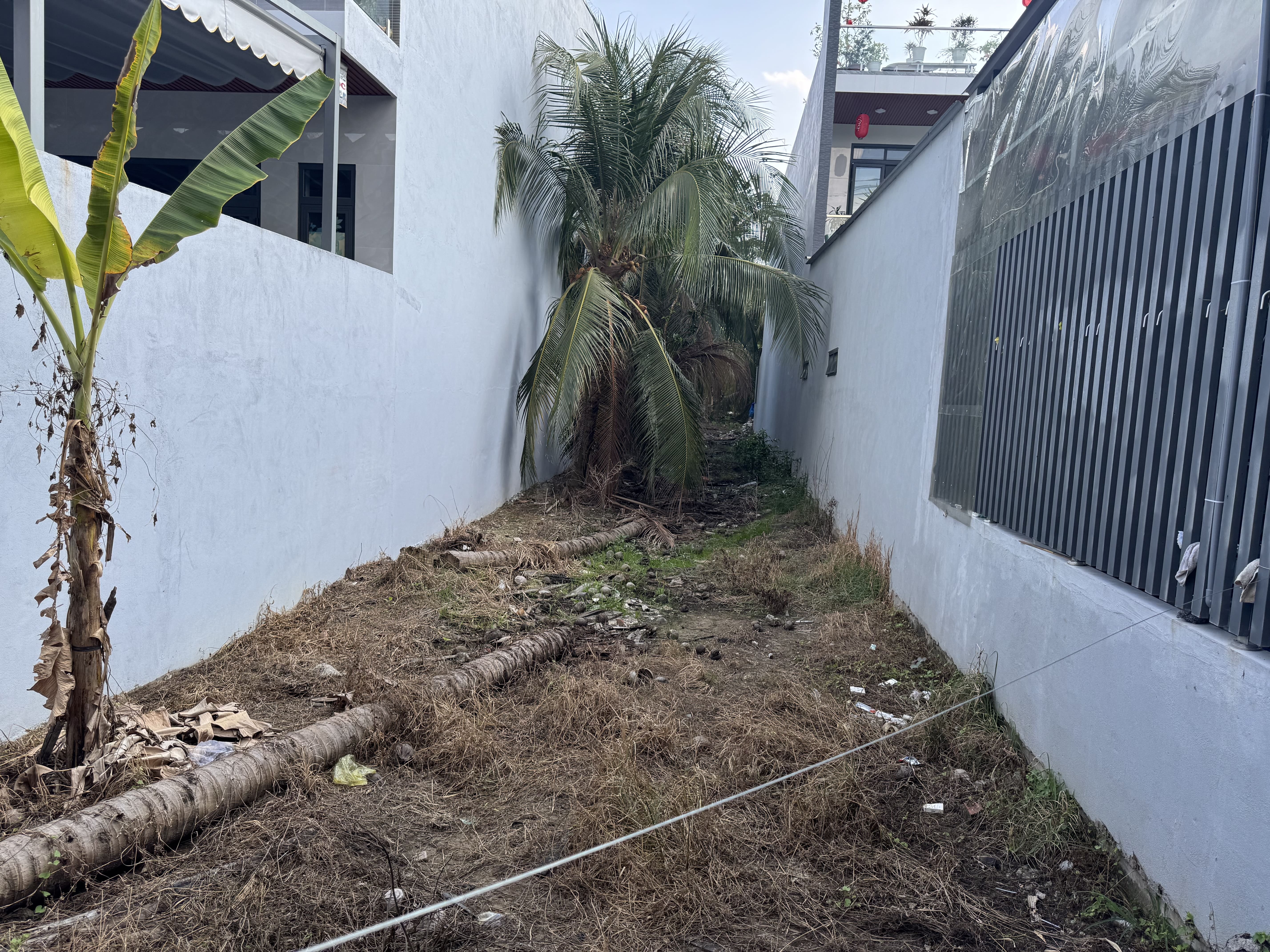 KP 8 - DAO THANH -  6