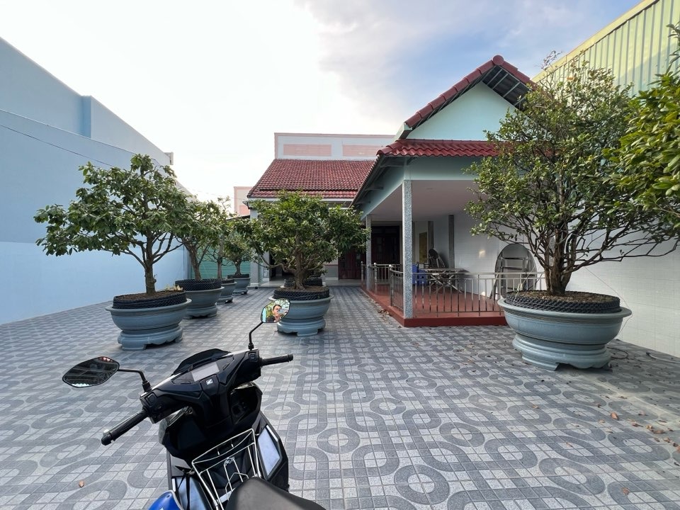 THUA 18 19 - DAO THANH  - 3