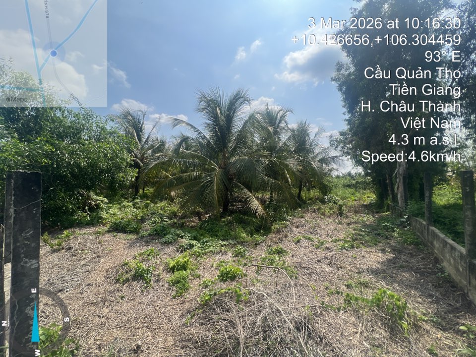 Bán bất động sản tại thửa đất 1053, xã Tam Hiệp, huyện Châu Thành, tỉnh Tiền Giang (nay là xã Long Hưng, tỉnh Đồng Tháp)