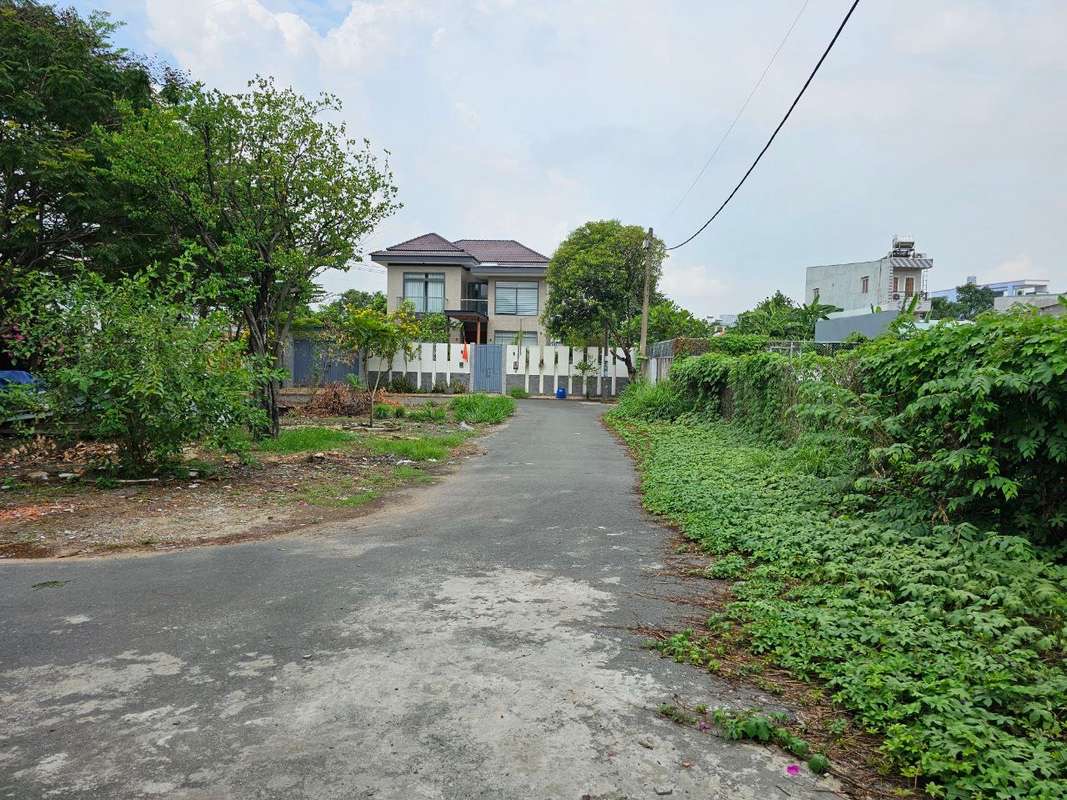 Khu dat Phuong Linh Xuan Thu Duc - 4