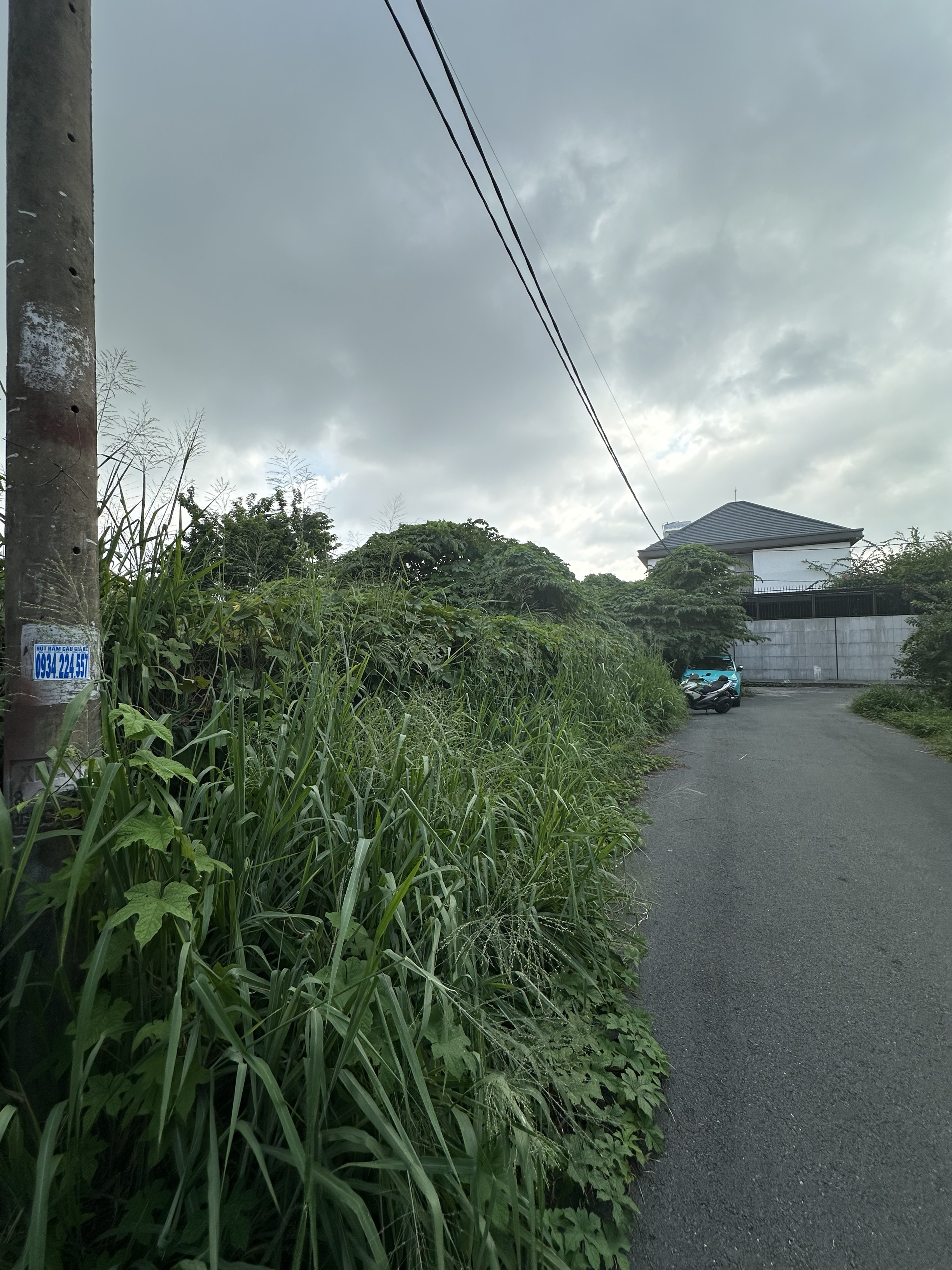 Khu dat Phuong Linh Xuan Thu Duc - 5