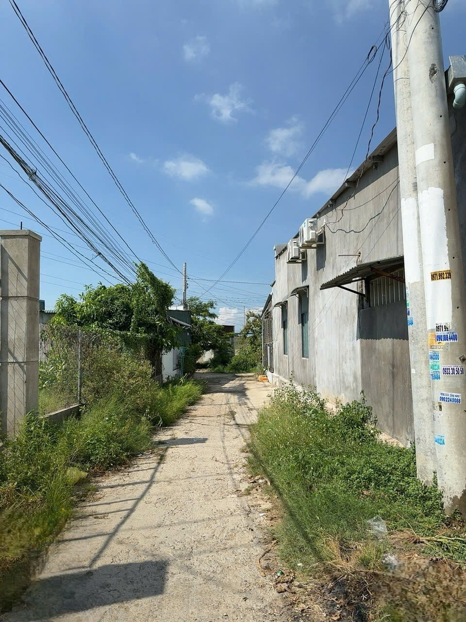 DO VINH - 3