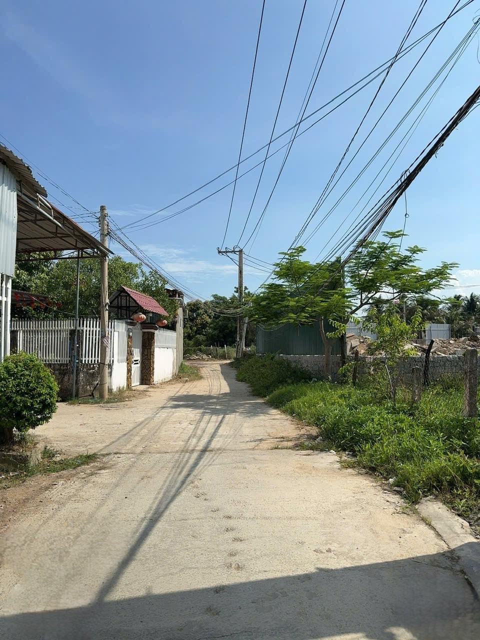 DO VINH -  4