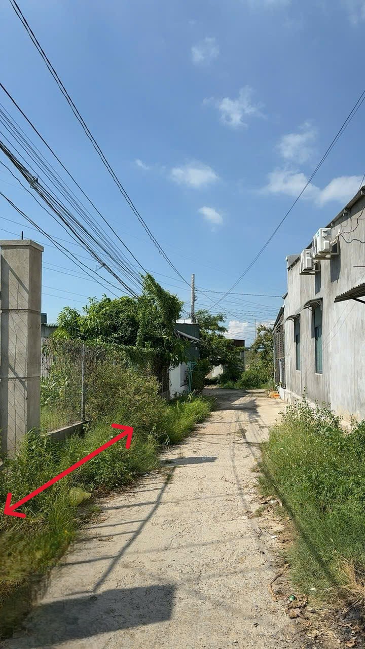 DO VINH -  5