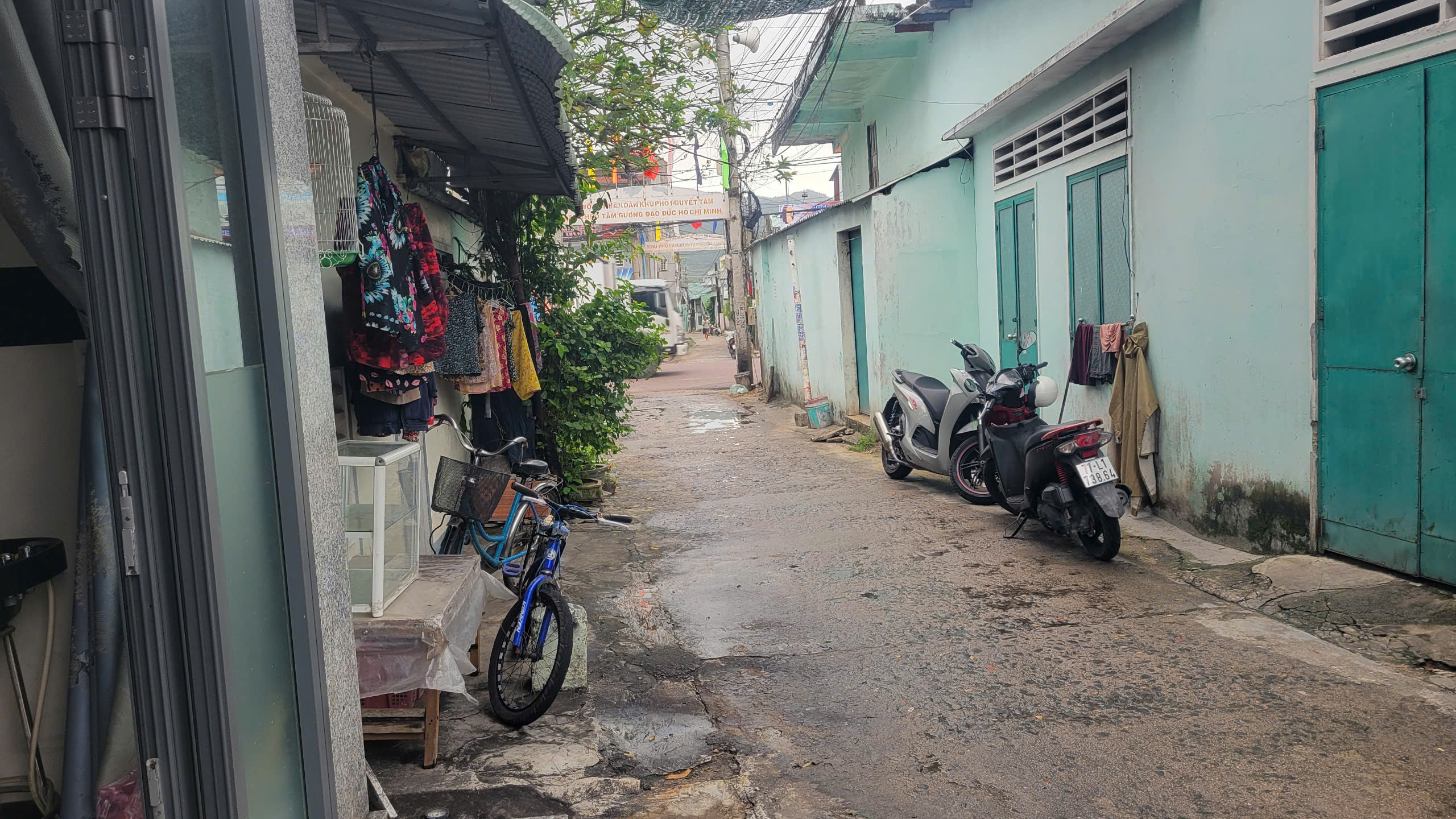 QUY NHON TAY -  5
