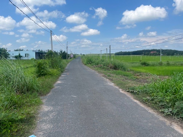 THUA 111 - TAY NINH - 5