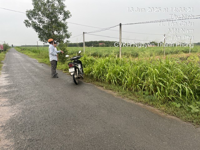 THUA 111 - TAY NINH -  6