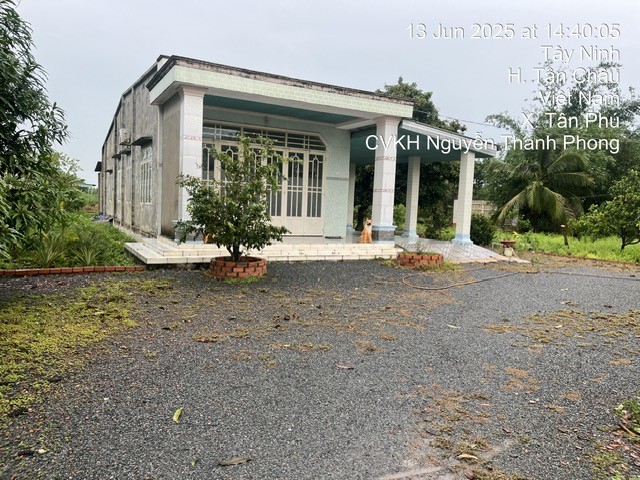 THUA 117 - TAY NINH -  2