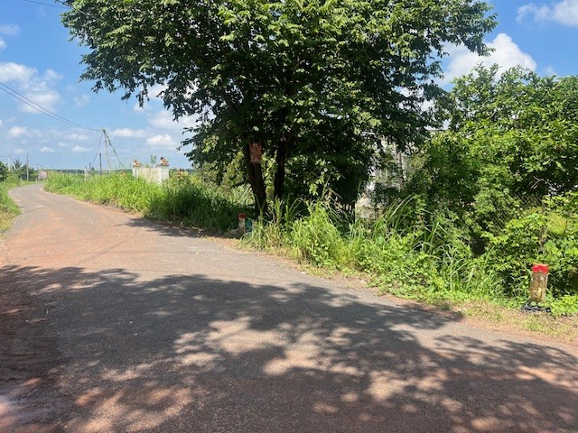 THUA 117 - TAY NINH - 5