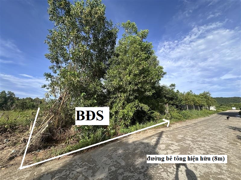 KP5-Duong-Dong-3