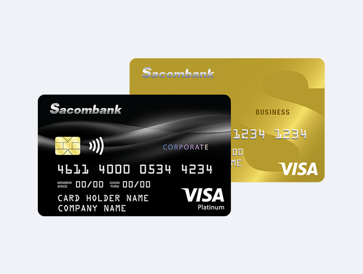 Visa Credit Card